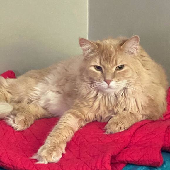 Meet your Posher, Brenda - Picture 1 of 1